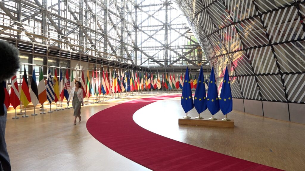 EU member state flags lining the European Council red carpet